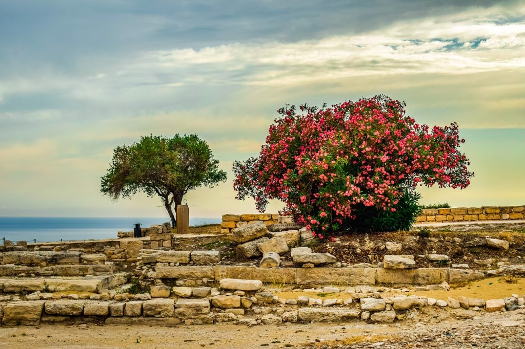 Must-Visit Places in Cyprus
