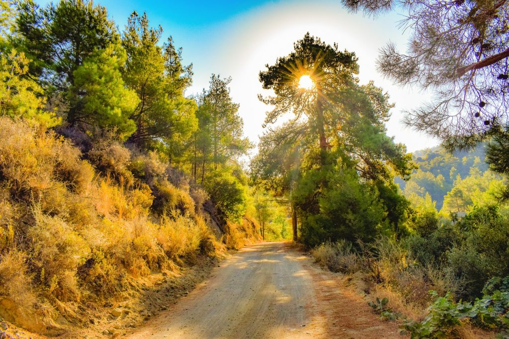 Must-Visit Places in Cyprus